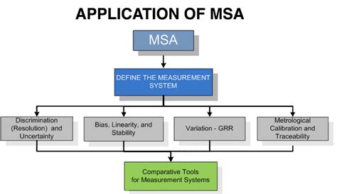 msa program meaning