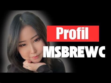 Msbrwec Software Solution Guide