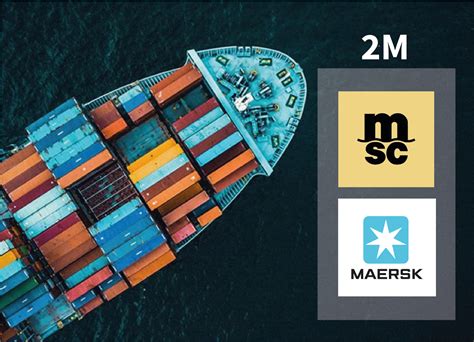 msc and maersk alliance