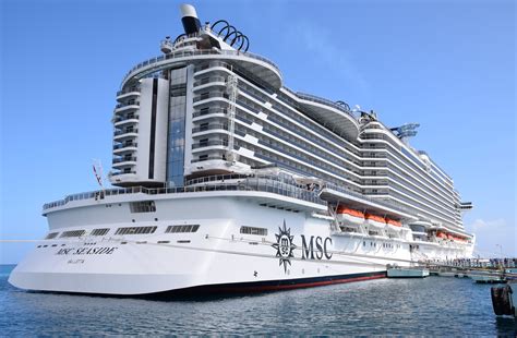 msc cruise line online check in