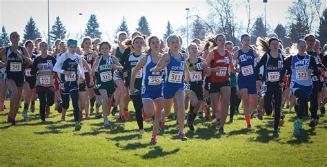 mshsl state cross country meet 2023