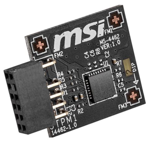 msi motherboard tpm 2.0