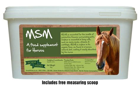 msm benefits for horses