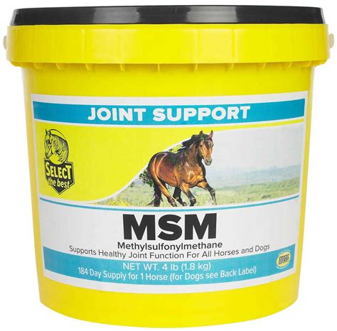 msm equine joint supplement