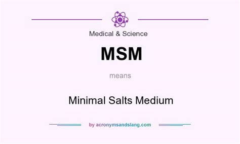 msm what does it stand for