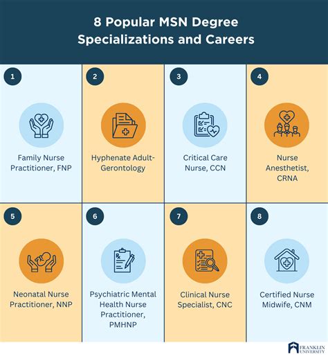 7 MSN Degree Options