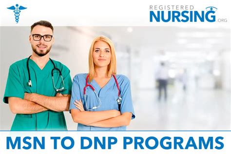 msn np to dnp programs