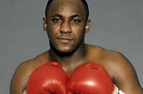 MSN Investment Options