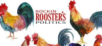 msnbc live rockin rooster