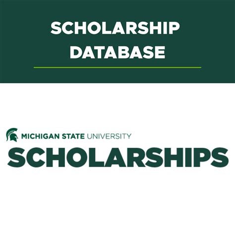 5 MSU Database Tips