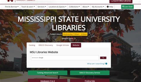 MSU Libraries Advanced Search