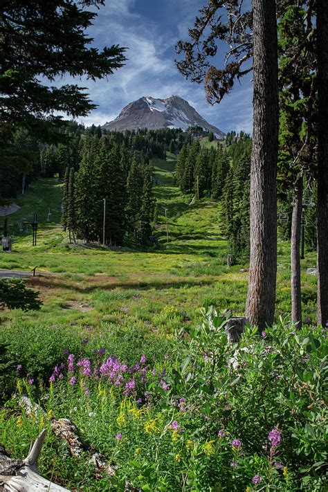 mt hood meadows spring pass