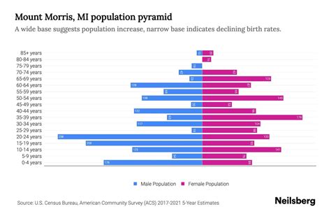 Mt Morris Mi Population