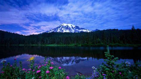 Free download Mount Rainier National Park [1920x1080] for your Desktop