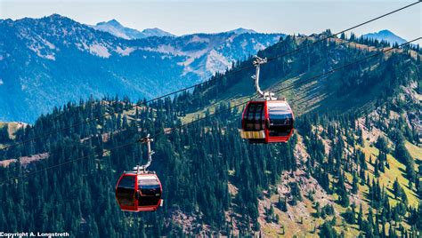 mt ranier gondola
