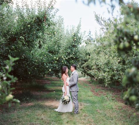 17+ Mt View Orchards Weddings