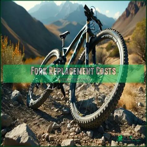Mtb Fork Service Cost Uk