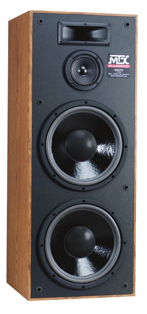 mtx 12 inch floor speakers