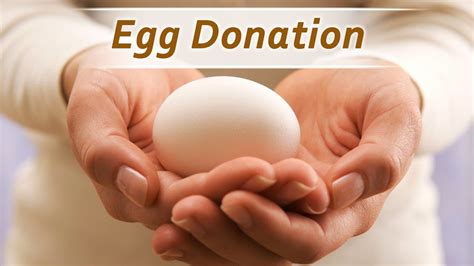 much money donate egg