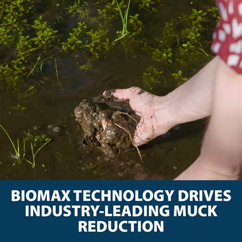 muck away total lake