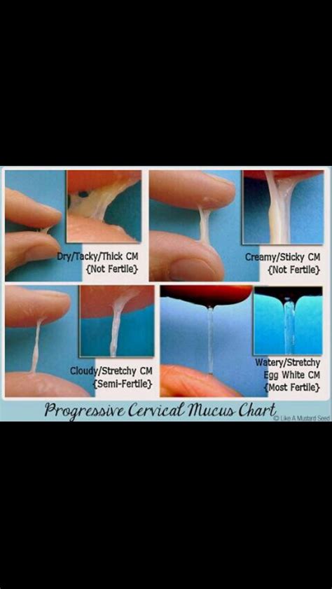 Mucus Like Rubber Cement