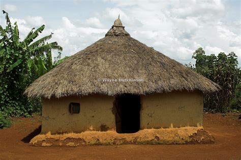 mud house with thatched roof