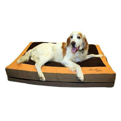 mud river dog bed review
