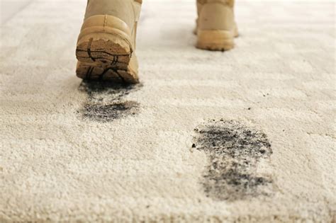 mud stains on carpet