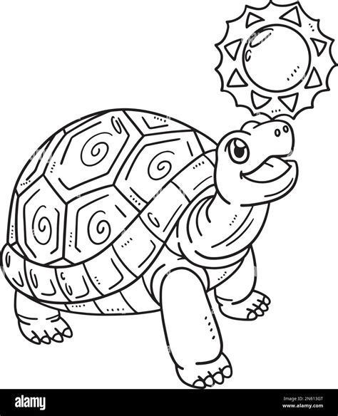 mud turtle coloring page