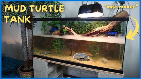 mud turtle tank size