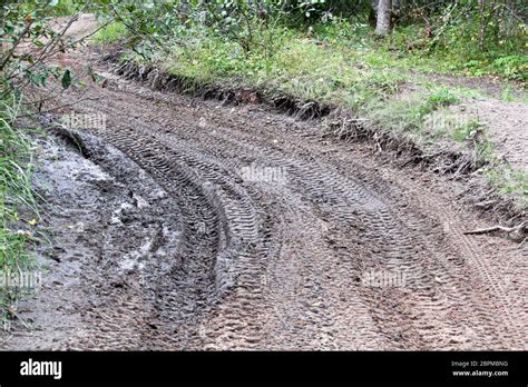 muddy ATV tracks
