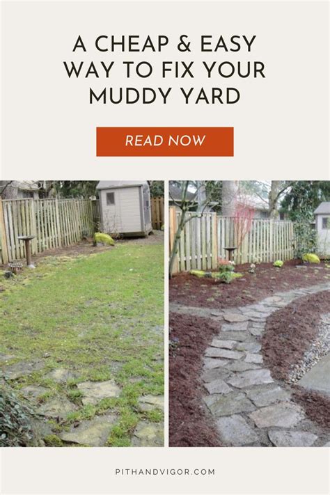 Muddy Backyard Fix