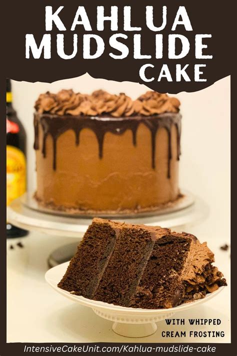 Mississippi Mud Cake {VIDEO} i am baker