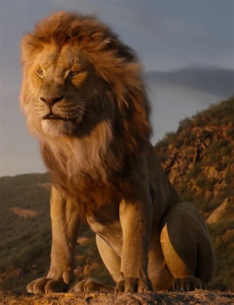 mufasa lion king live action