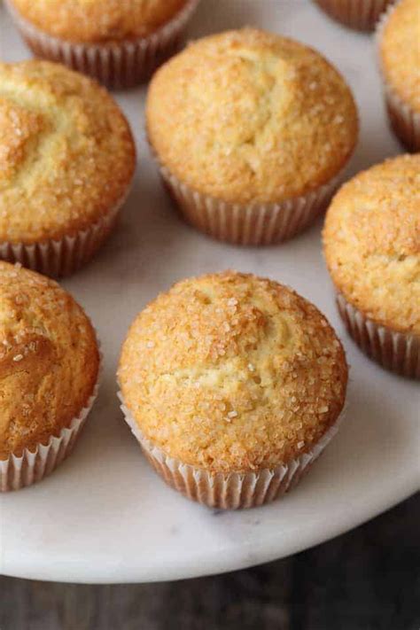 Muffins Recipe Plain