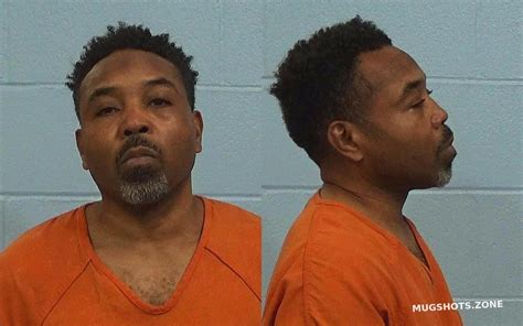 mugshots williamson county