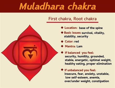 muladhara chakra massage to awaken kundalini