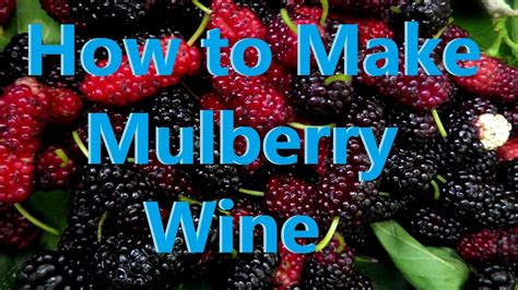 Mulberry Lemonade All you need is ( serves 4) Mulberries
