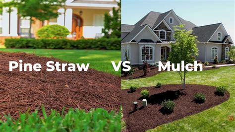What are the Pros and Cons of Rubber Mulch? Angie's List