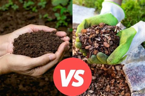 Mulch vs Compost What's The Difference & Which Is The Best? Compost
