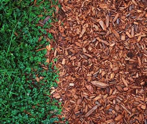 Mulch By Definition
