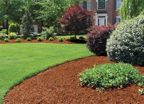 Mulch Colors Options