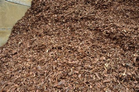 mulch des moines
