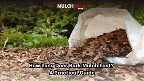 Mulch How Long Does It Last