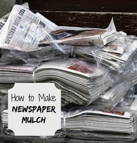 Mulch Newspaper Layer
