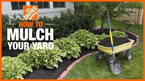 Mulch Your Yard