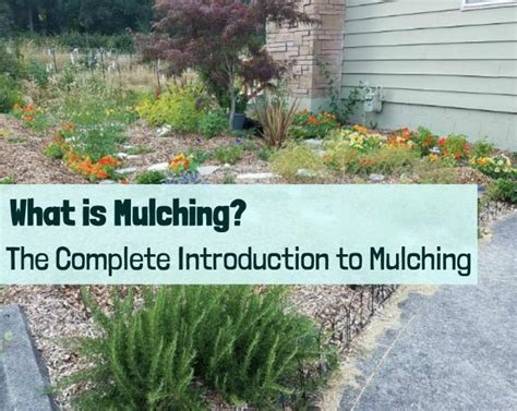 Mulching Define
