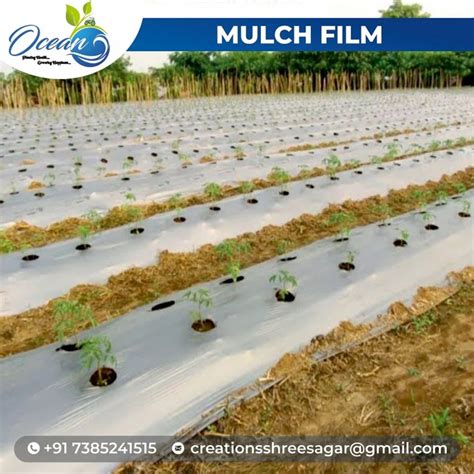 Mulching Paper Definition