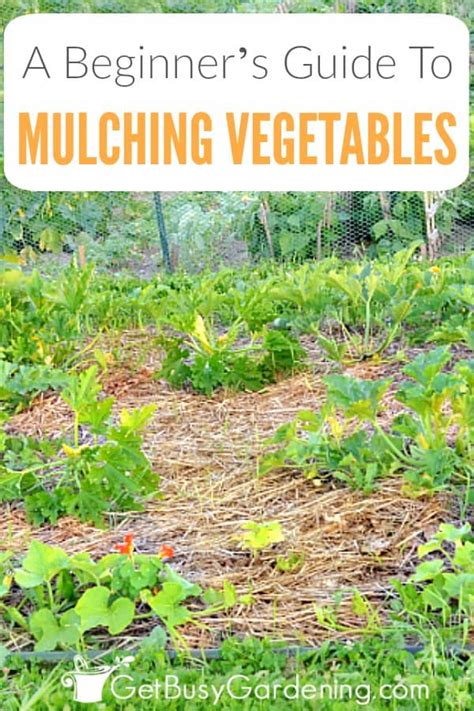 Mulching Your Vegetable Garden