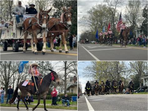 mule day 2022 columbia tn